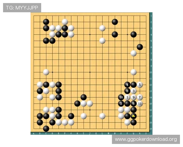 a六棋牌玩法攻略大全,帮助新手快速掌握游戏技巧提升胜率 a六棋牌玩法攻略大全,帮助新手快速掌握游戏技巧提升胜率